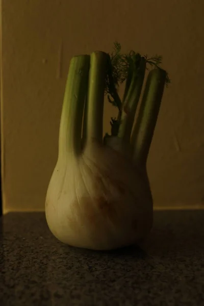 Simple low-light image of a fennel