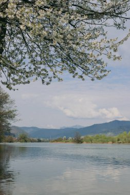 Piatra Neamt 'deki Batca Doamnei Gölü' nde panorama.