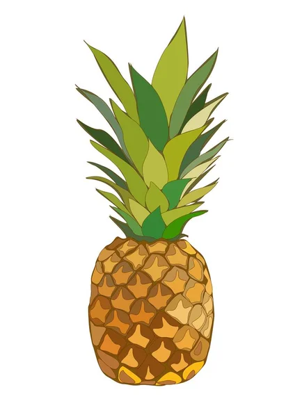 stock vector Colorful hand drawn fresh delicious whole pineapple isolated on white background. Tropical exotic fruit. Healthy and tasty vegan product, organic vegetarian food. Flat cartoon vector illustration.