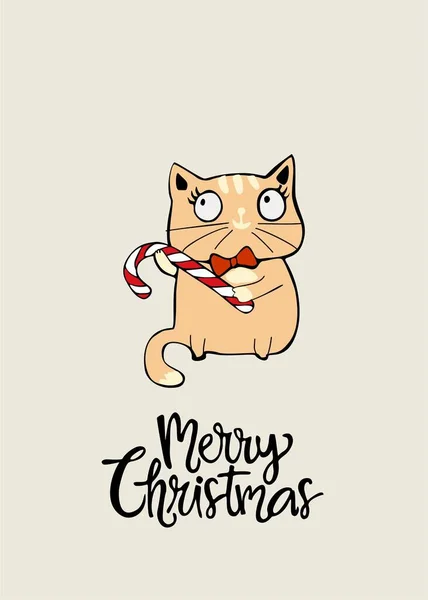 Greeting Xmas Funny Card Cute Cat Wearing Bow Tie Holding — Stock Vector
