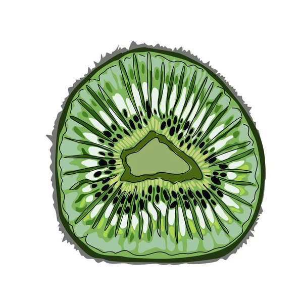Kousek Nebo Plátek Čerstvého Kiwi Izolované Bílé Pozadí Zelené Kyselé — Stockový vektor