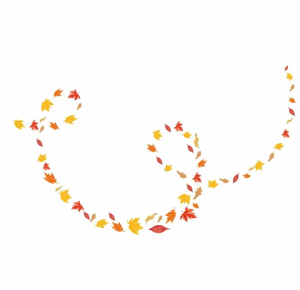 秋は風の渦巻のオーバーレイを残します メープル オークは白い背景に孤立したリアルなイラストを残します デザイン要素 バナー カードカバー ポスター 招待状 ソーシャルメディア — ストックベクタ