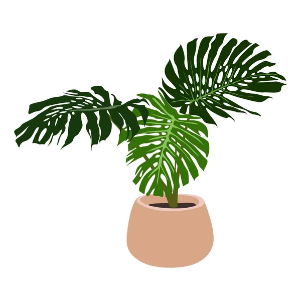 Vector Realistic Εικονογράφηση Του Φυτού Monstera Που Απομονώνεται Λευκό Φόντο — Διανυσματικό Αρχείο