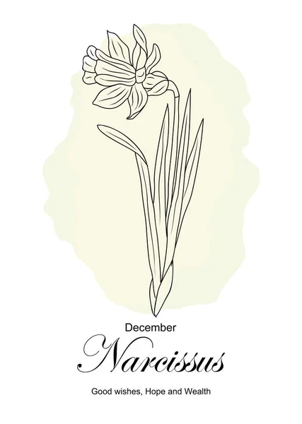 Нарцисс Декабрь Месяц Рождения Отпечаток Цветка Ботанический Рисунок Цветочной Линии — стоковый вектор