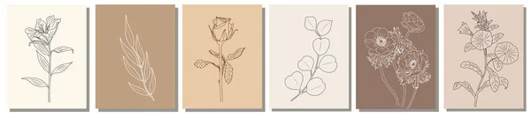 Čára Kreslení Vektorové Květiny Tisková Sada Botanický Plakát Moderní Jednořádkové — Stockový vektor