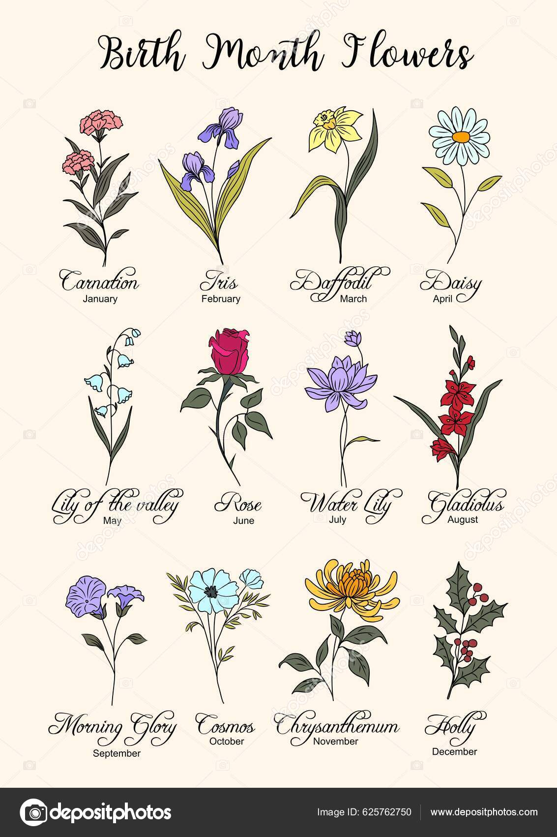 Set Birth Month Flowers Colorful Line