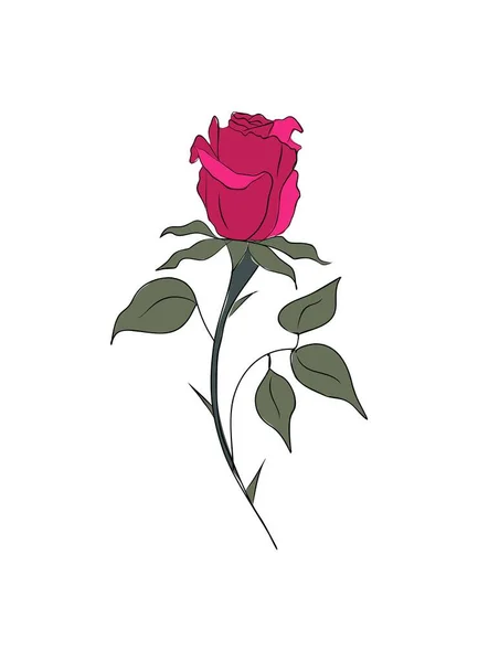 Rose Juin Mois Naissance Fleur Vectorielle Colorée Illustration Design Dessiné — Image vectorielle