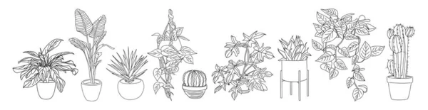 住宅植物のセットは図面をアウトラインします ポットラインアートの屋内エキゾチックな花 Dracaena Icus サボテン ホームインテリア計画 デザインのためのヘビの植物 白を基調としたベクトルイラスト — ストックベクタ