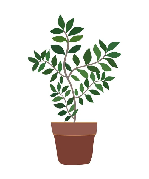House Plant Vector Illustration Cartoon Exotic Flower Stem Leaves Ficus — Vector de stock