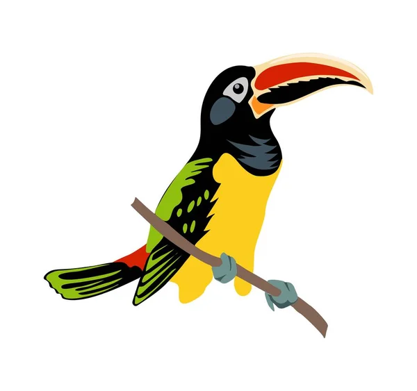 Toucan Exótico Pájaro Colorido Ilustración Vectorial Realista Aislado Sobre Fondo — Archivo Imágenes Vectoriales