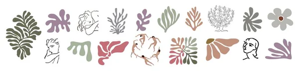 抽象的な有機的な形 エキゾチックなジャングルの葉 女性のヌードシルエット 藻類のセット トレンディ マティスにインスパイアされたスタイル 白を基調とした現代的なベクトル アート イラスト デジタルステッカー — ストックベクタ
