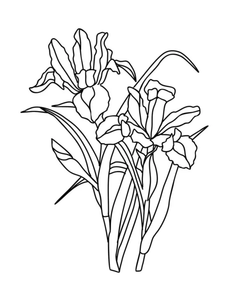 Iris Φεβρουάριος Μήνα Γέννησης Λουλούδι Γραμμή Τέχνης Διάνυσμα Εικονογράφηση Μοντέρνο — Διανυσματικό Αρχείο