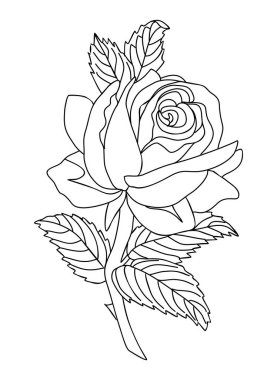Rose June doğum ayı çiçek çizgisi çizimi çizimi. Logo, dövme, ambalaj, kart, duvar sanatı ve poster için modern minimalist el çizimi tasarımı. Beyaz arkaplanda özet çizimi izole edildi.