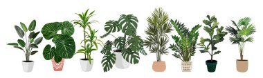 Kapalı alan bitkileri vektör çizimleri ayarlandı. Gerçekçi ev bitkileri el yapımı çömlekler. Saplı ve yapraklı egzotik çiçekler. Ficus, Palm, Monstera, Dracena, Yucca, tecrit edilmiş botanik tasarım elementleri.
