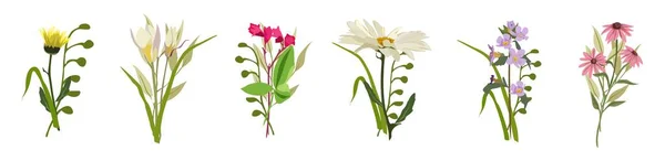 Krásné Kytice Divokými Květy Vektor Ploché Ilustrace Set Kolekce Různých — Stockový vektor