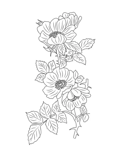 Aubépine Mai Mois Naissance Fleur Ligne Art Vectoriel Illustration Design — Image vectorielle