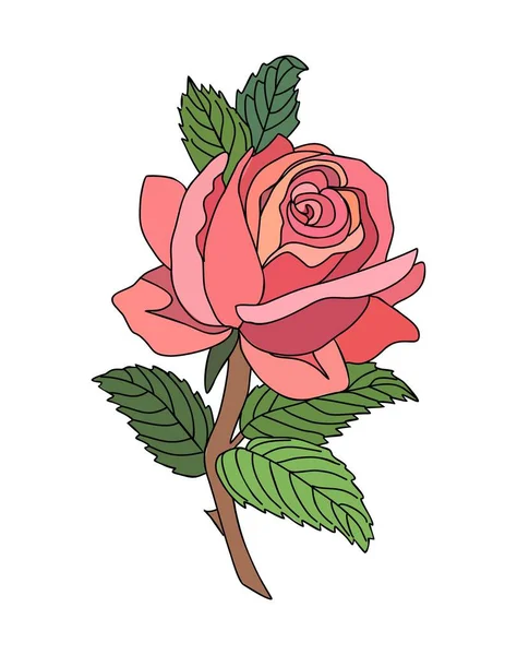 Rose June Birth Month Flower Colorful Vector Illustration Modern Minimalist —  Vetores de Stock