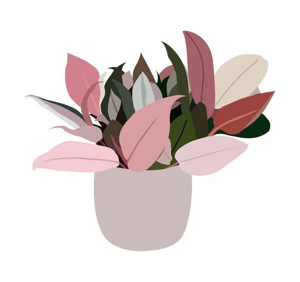 Philodendron Pink Congo Haus Pflanzenvektor Illustration Realistische Exotische Topfpflanze Isoliert — Stockvektor