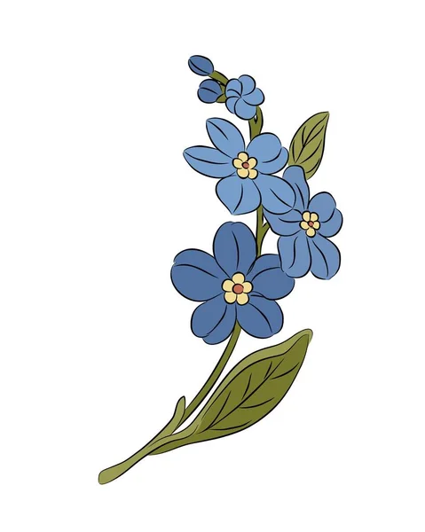 Zapomnij Mnie Nie Kwiat Delikatny Kolorowy Wektor Ilustracji Myosotis Zarys — Wektor stockowy