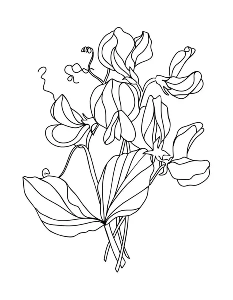 Sweet Pea April Geburtsmonat Blume Linie Kunst Vektor Illustration Modernes — Stockvektor