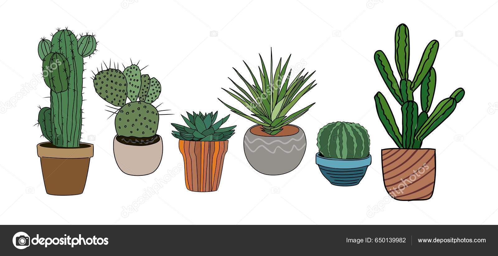 Conjunto de várias plantas espinhosas do deserto ou cactos com espinhos  isolados no fundo branco ilustração de desenho vetorial