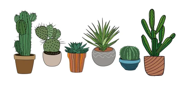 Sada Různých Pichlavých Pouštní Rostlin Kaktusů Trny Květináčích Ručně Kreslené — Stockový vektor