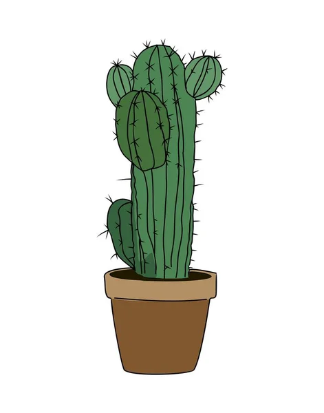 Kłujący Domowy Kaktus Rosnący Sadzarce Zielony Kryty Kaktusowy Roślin Doniczce — Wektor stockowy