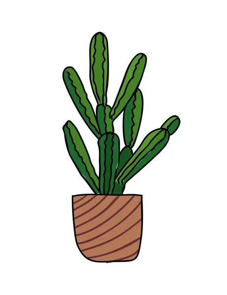 Stekelige Huis Interieur Cactus Groeien Plantenbak Groene Indoor Cactussen Plant — Stockvector