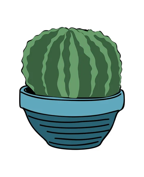 Pikantní Domácí Kaktus Rostoucí Květináčích Zelená Továrna Kaktusy Květináči Pro — Stockový vektor