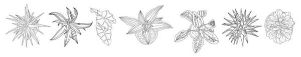 インテリアデザインのための異なる家の植物のトップビューライン図面のセット 造園コンストラクター 白を基調としたベクトルアウトラインイラスト — ストックベクタ