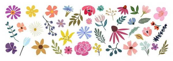 Sada Ručně Kreslených Květinových Designových Prvků Abstraktní Tvary Divoké Zahradní — Stockový vektor