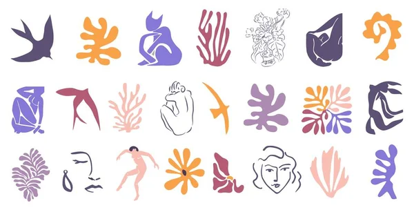 一组抽象的有机形状 奇异的丛林中树叶 女性裸体轮廓 流行的马蒂斯风格的海藻 白色背景的当代矢量艺术图解 数字贴纸 — 图库矢量图片