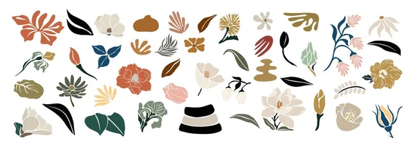 手描きの形状や花のデザイン要素のセット エキゾチックなジャングルの葉 花や藻類 概要白を基調とした流行のデンマークのパステルカラーの現代的なベクトルアートイラスト — ストックベクタ