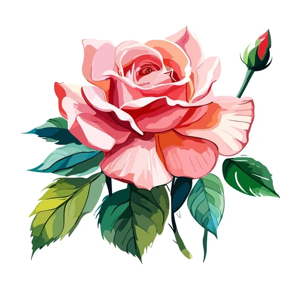 Πανέμορφα Ροζ Τριαντάφυλλα Και Πράσινα Φύλλα Ρεαλιστική Απεικόνιση Διάνυσμα Μπουκέτο — Διανυσματικό Αρχείο