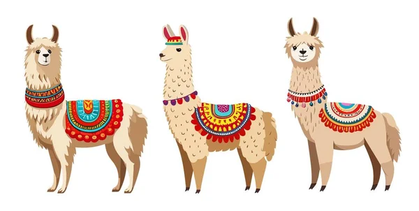 Desenhos Animados Bonitos Llama Alpaca Vetor Cartoon Ilustrações Conjunto Personagens — Vetor de Stock