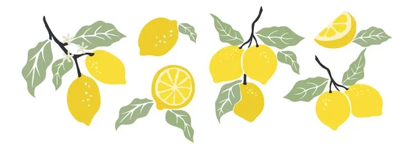Juego Limones Abstractos Dibujados Mano Colección Limones Enteros Cortados Ramas — Vector de stock