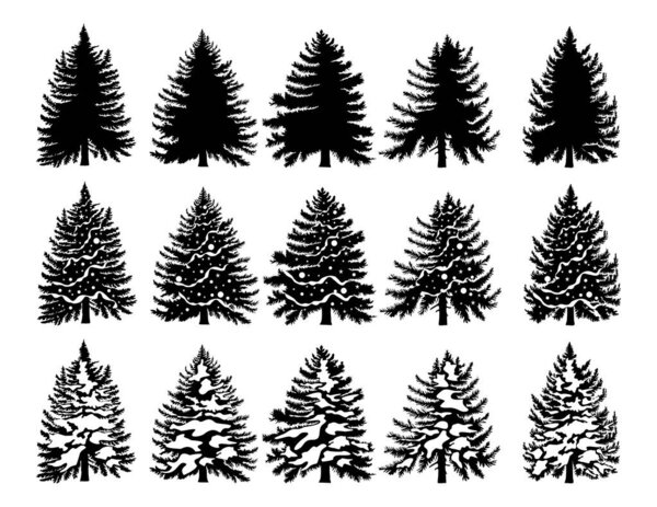 Set of Christmas tree silhouettes. Traditional holiday firs with ornaments and lights, Xmas spruce with festive decoration and snow. Monochrome black vector illustrations isolated on white background.