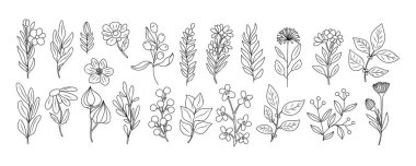 Bir grup küçük yabani çiçek ve bitkiler, sanat vektörü botanik çizimler. Modaya uygun yeşillik, siyah mürekkep eskizleri koleksiyonu. Logo, dövme, duvar sanatı, marka ve ambalaj için modern tasarım.