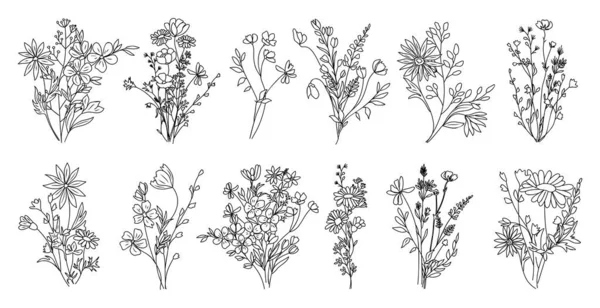 Divoká Květinová Výtvarná Kytice Ručně Kreslené Květiny Luční Byliny Volně — Stockový vektor