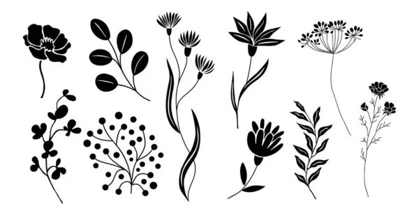 Set Black Silhouettes Wild Leaves Flowers Trendy Greenery Hand Drawn — Stock Vector