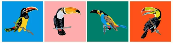 Set of Toucan Exotic birds realistic illustration Isolated On colorful Background. Black-feathered parrot, large yellow beak. Tropical birds sitting on branch. Exotic animal.