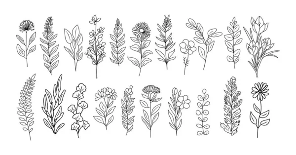 小さな野生の花と植物のセット ラインアート植物のイラスト トレンドグリーンの手描きブラックインクスケッチコレクション ホワイトバックグラウンドで隔離されたベクトル設計要素 — ストックベクタ