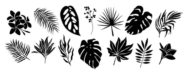Set Aus Schwarzen Silhouetten Tropischer Blätter Und Blumen Monstera Palme — Stockvektor