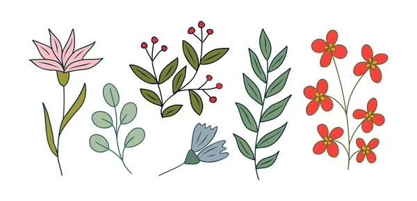 Uppsättning Små Vilda Blommor Och Växter Färgade Vektor Botaniska Illustrationer — Stock vektor