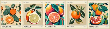 Soyut Fruit Market retro posterleri. Portakal, zeytin, mandalina, mandalina ve mandalinayla donatılmış son moda mutfak galerisi. Modern moda iç mimari tabloları. Vektör illüstrasyonu.