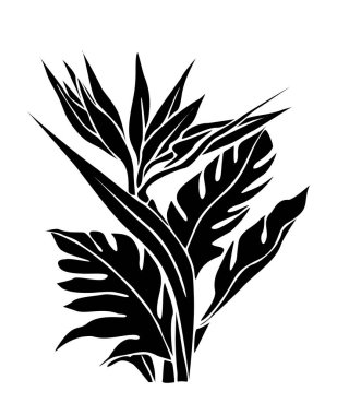 Strelitzia 'nın silueti, Cennet kuşu çiçeği. Tropik çizgili çiçek çizimi. Egzotik botanik çizimi. Logo, dövme, duvar sanatı ve ambalaj için vektör monokrom tasarımı izole.