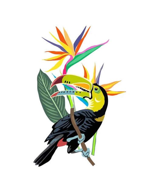 Tropical composition with exotic leaves, flowers and toucan. Tucan bird sitting on the branch. Colorful vector illustration isolated on white background. Digital Sticker.