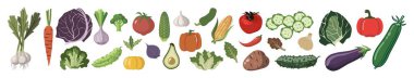 Farklı sebzeler. Sağlıklı vejetaryen ve vejetaryen gıda ikonları koleksiyonu. Doğal organik ürünler. Beyaz arkaplanda izole edilmiş basit düz stil vektör el çizimleri.