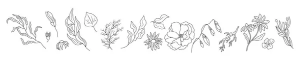 stock vector Set of tiny wild flowers and plants line art vector botanical illustrations. Trendy greenery hand drawn black ink sketches collection. Modern design for logo, tattoo, wall art, branding and packaging.