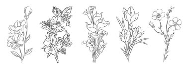 Set of wild, garden flowers, plants line art vector botanical illustrations. Trendy greenery hand drawn black ink sketches collection. Modern design for logo, tattoo, wall art, branding and packaging. clipart